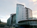 shidnycya-002